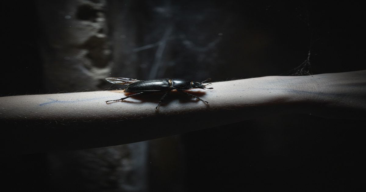 horror entomologico insetti letteratura